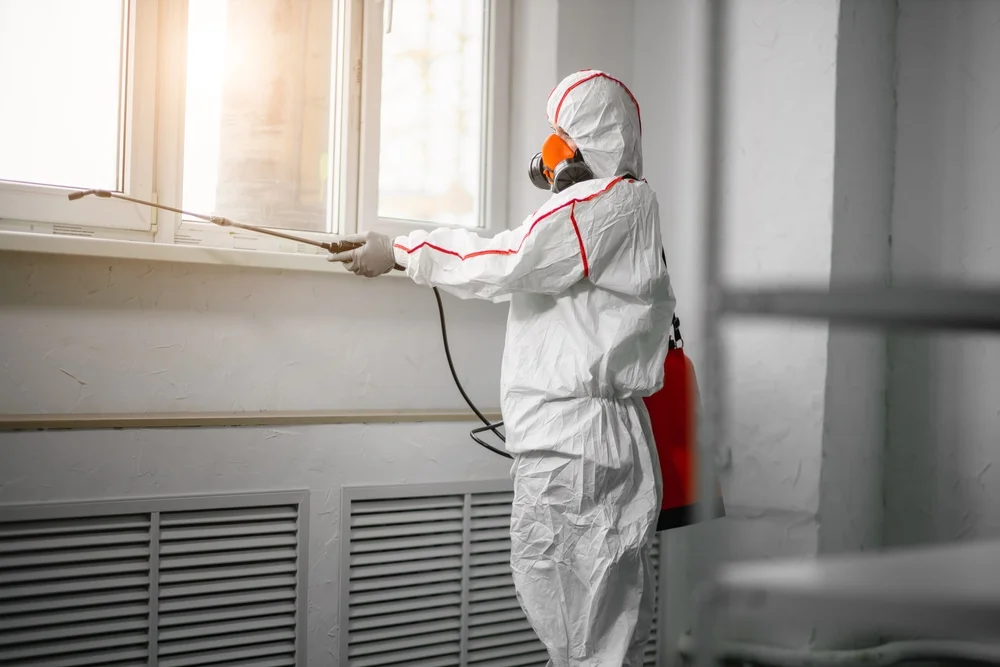 Professional mold remediation services in Durham, NH